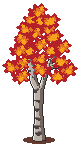 Birch Autumn Image