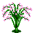 Bramble Summer Image
