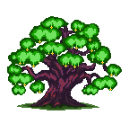 Oak Spring Image