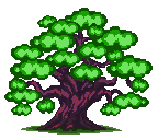 Oak Summer Image