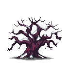 Oak Winter Image
