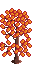 Rose Autumn Image