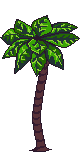 Sonora Tree 2