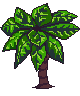 Sonora Tree 3